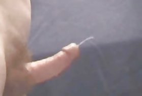 Apkopojums